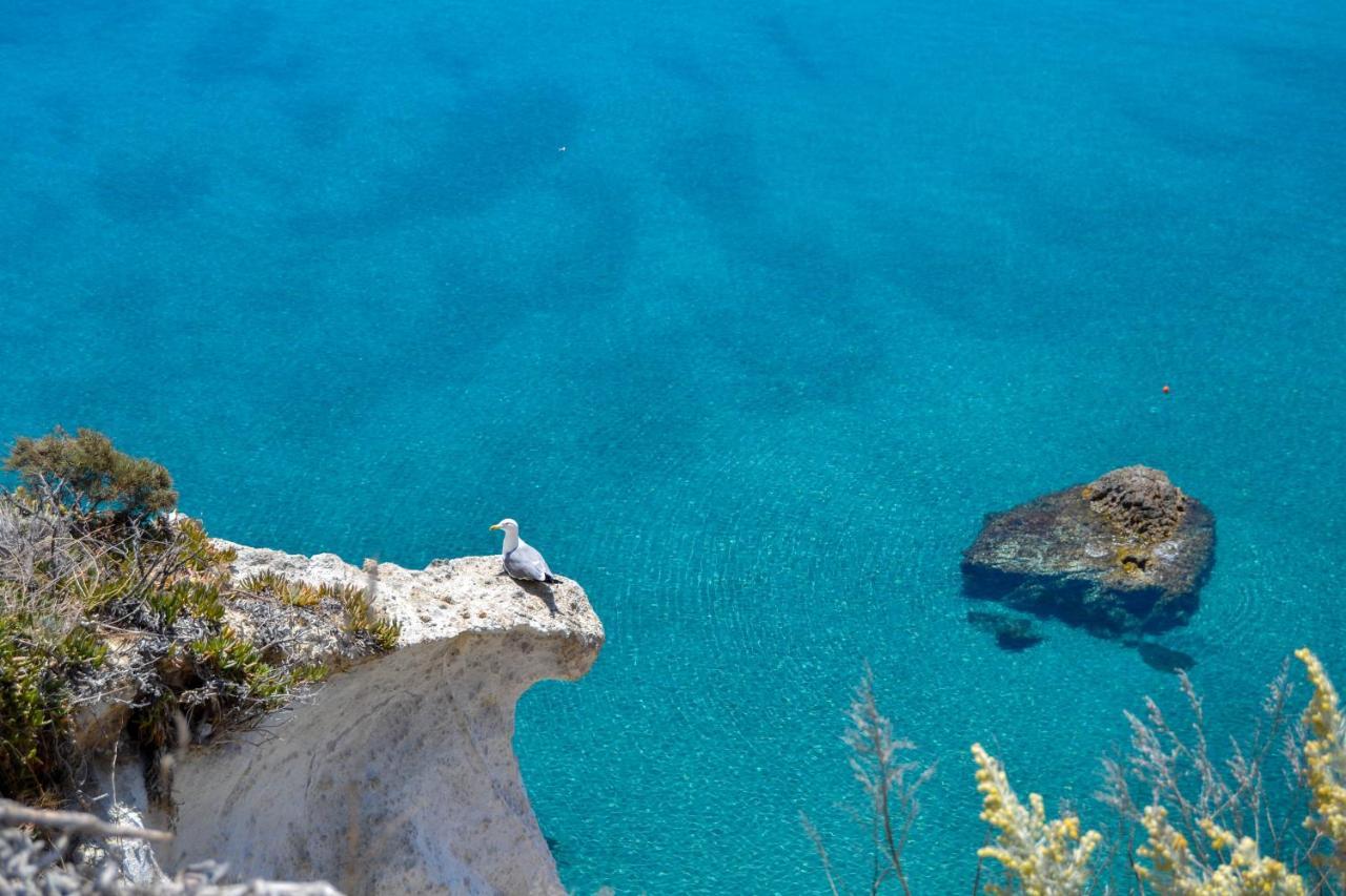 Maridea - Cave Suites Ponza Dış mekan fotoğraf